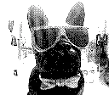 Game Boy Camera photo