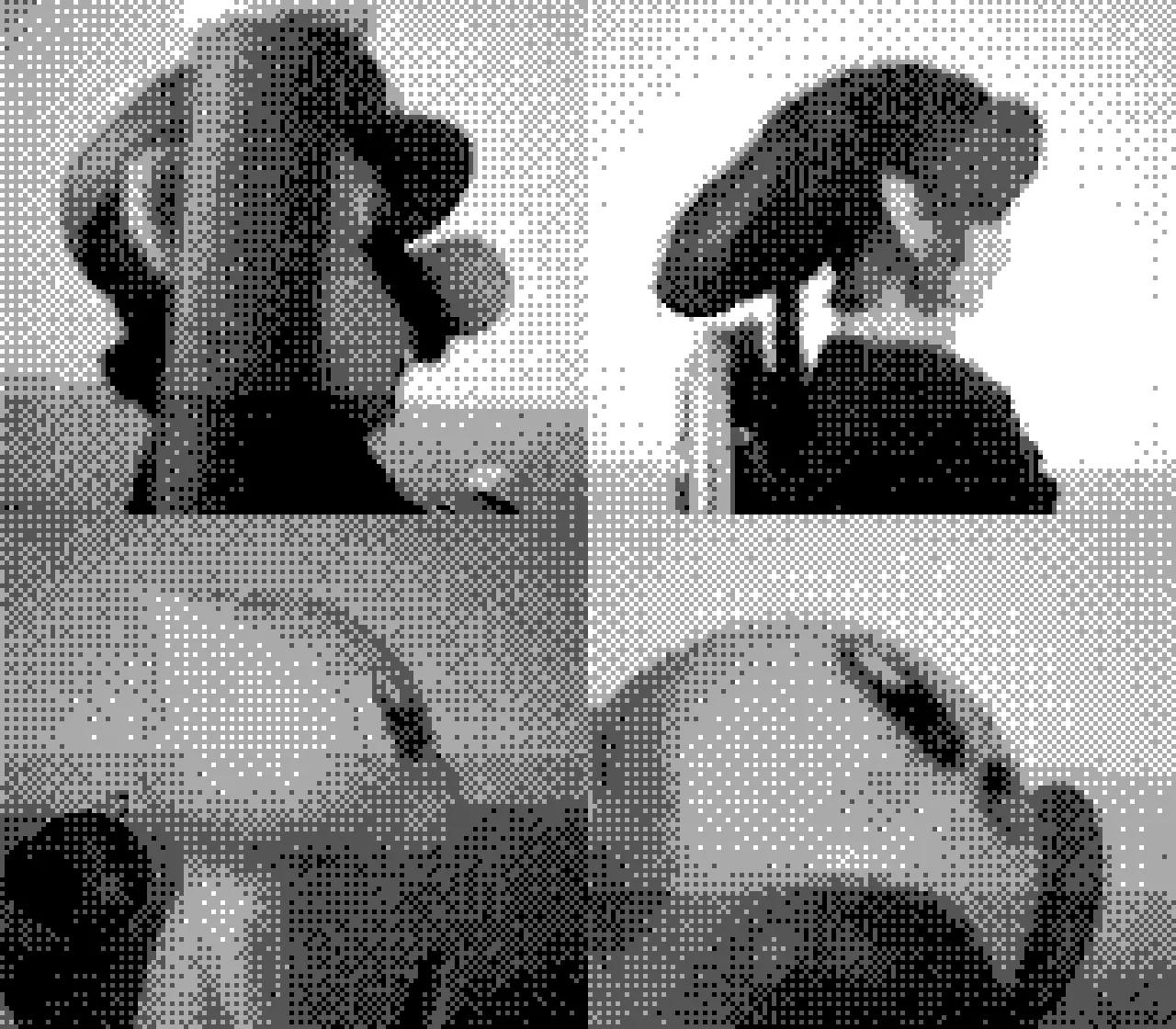 Exported photo from Game Boy Camera
