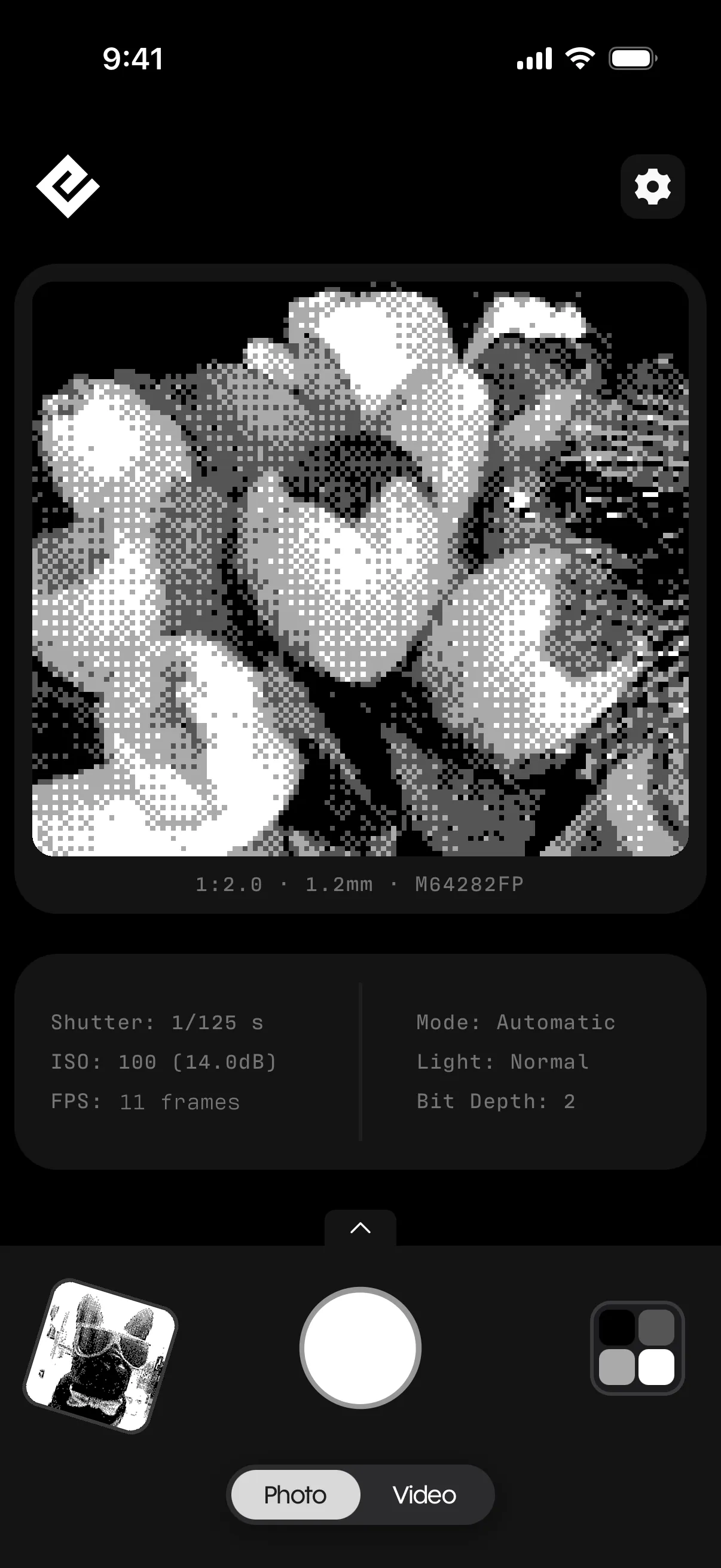 Flashback viewfinder showing tulips in four shades of grey