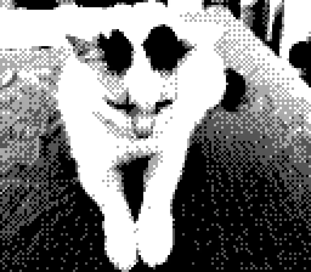The same cat shot in Software Mode