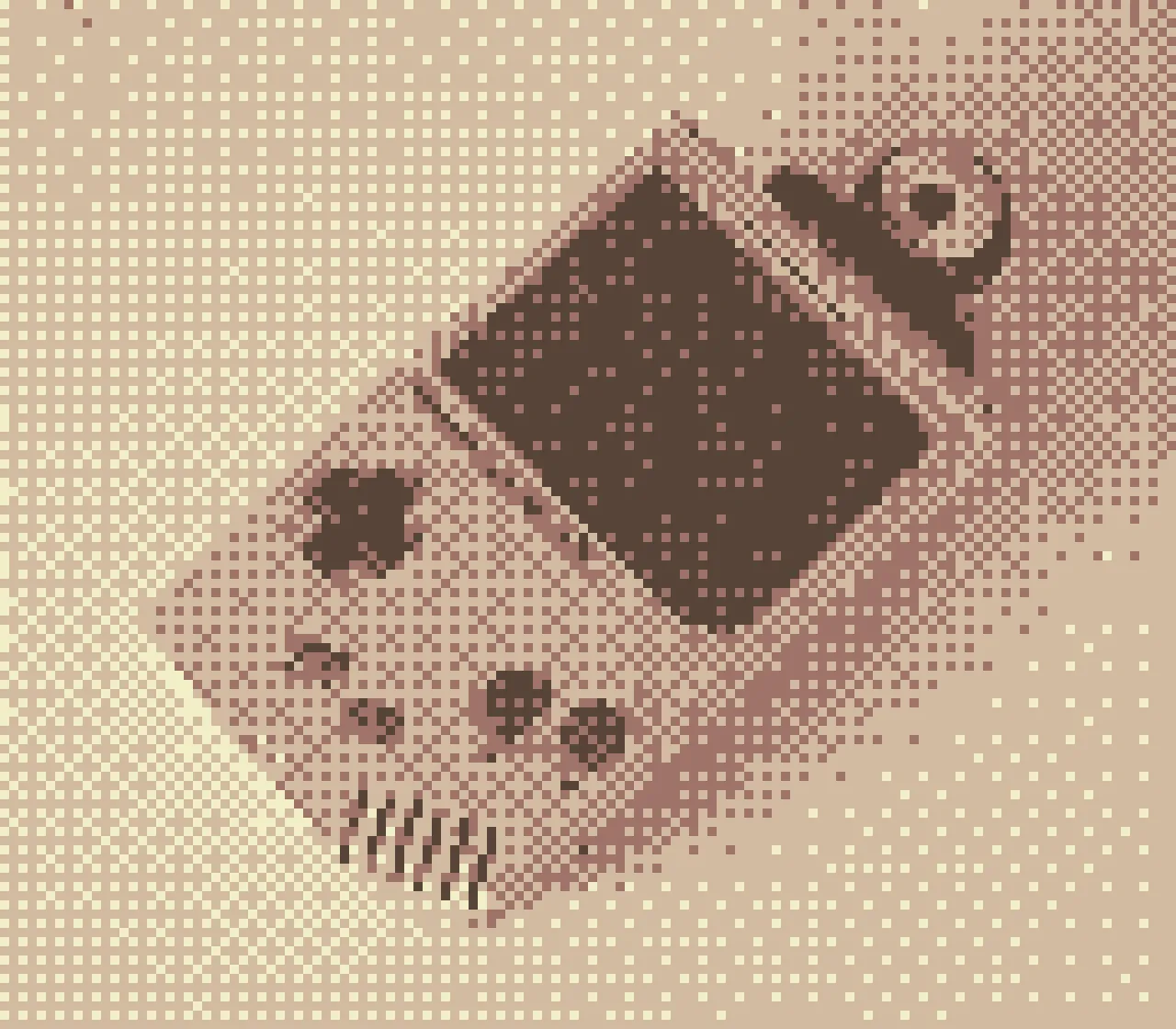 Game Boy Camera photo in the Coffee palette