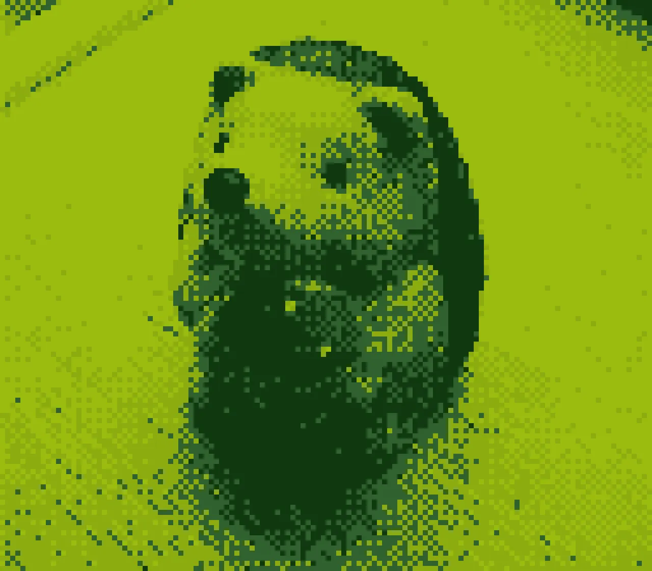 Game Boy Camera photo in the DMG palette