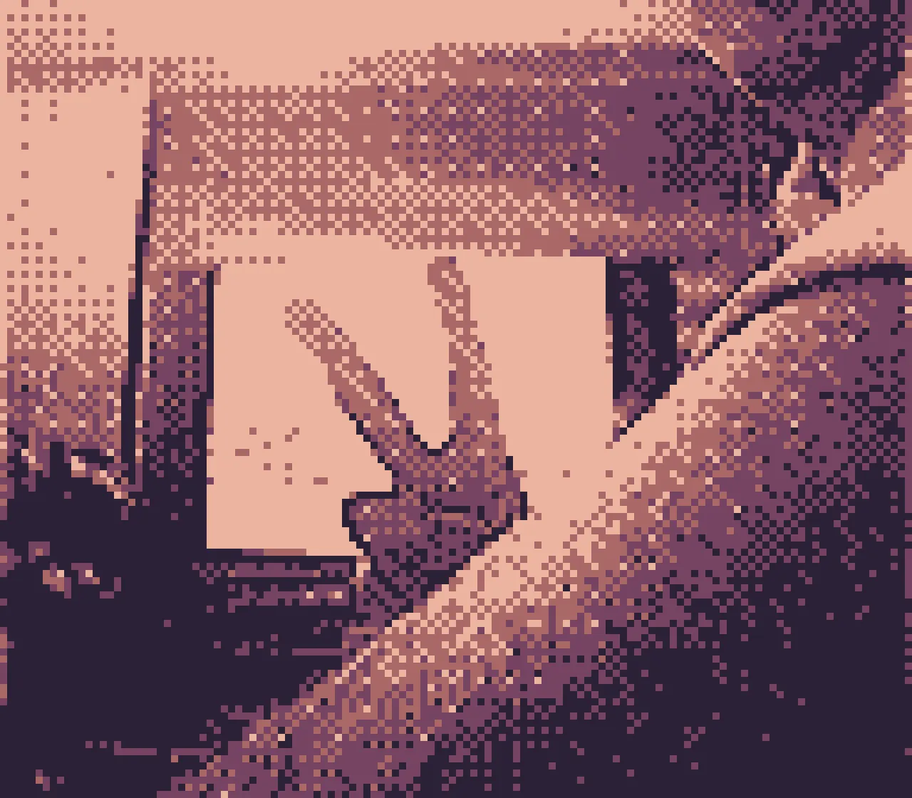 Game Boy Camera photo in the Rustic palette